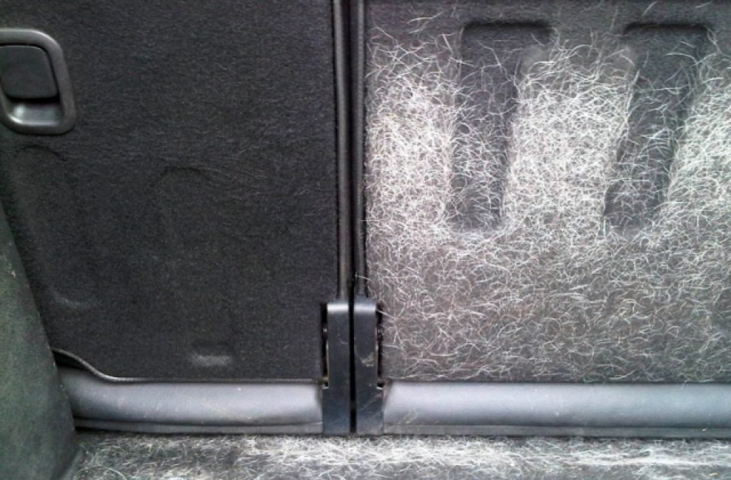 The back of an suv with excessive pet hair before after